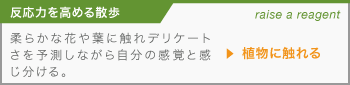 【反応力を高める散歩】柔らかな花や葉に触れデリケートさを予測しながら自分の感覚と感じ分ける。