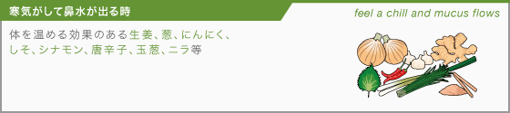 【寒気がして鼻水が出る時】体を温める効果のある生姜、葱、にんにく、しそ、シナモン、唐辛子、玉葱、ニラ等