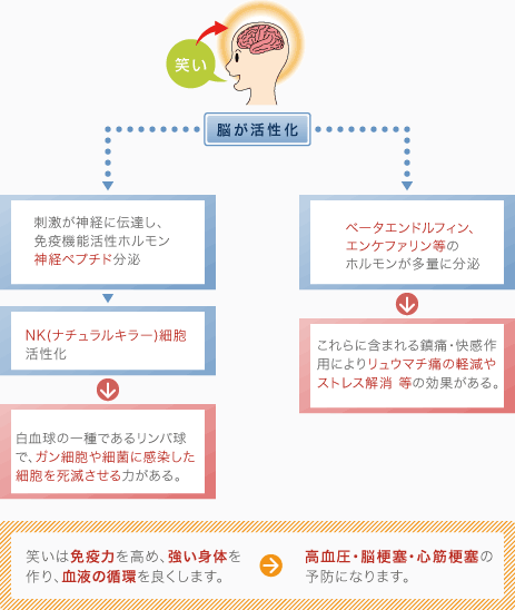 [脳が活性化]笑いは免疫力を高め、強い身体を作り、血液の循環を良くします。なので高血圧・脳梗塞・心筋梗塞の予防になります。