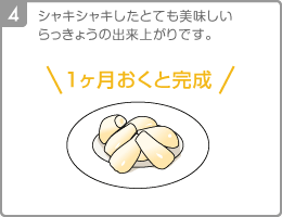 [Step4]シャキシャキしたとても美味しいらっきょうの出来上がりです。