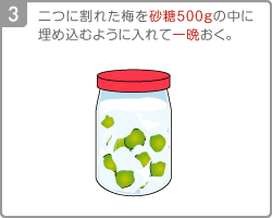 [Step3]二つに割れた梅を砂糖500gの中に埋め込むように入れて一晩おく。 