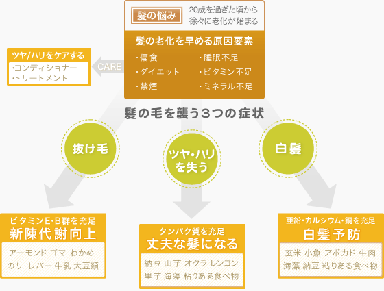 [頭の悩み]20歳を過ぎた頃から徐々に老化が始まる。
[抜け毛](ビタミンE・B群を充足)新陳代謝向上[ツヤ・ハリを失う](タンパク質を充足)丈夫な髪になる[白髪](亜鉛・カルシウム・銅を充足)白髪予防