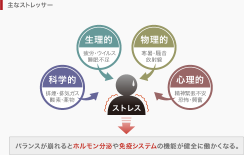 [主なストレッサーの種類](科学的)排煙・排気ガス・酸素・薬物(生理的)疲労・ウイルス・睡眠不足(物理的)寒暑・騒音・放射線(心理的)精神緊張不安・恐怖・興奮